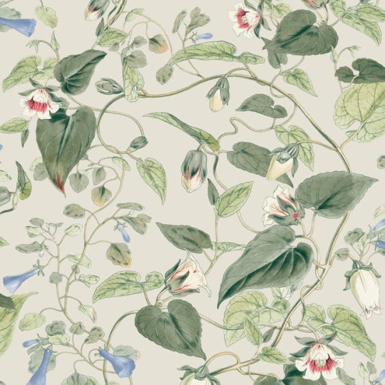 York BL1713 Blooms Second Edition Resource Library Moon Flower Light Taupe - tapeta w kwiaty i liście