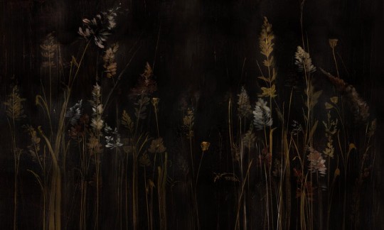 Wall Art Calamus - mural w roślinny motyw