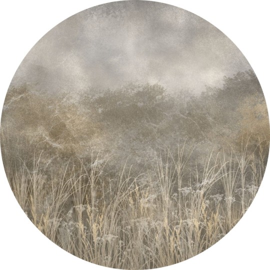 Wall Art Tatarac - mural koło w pola i las