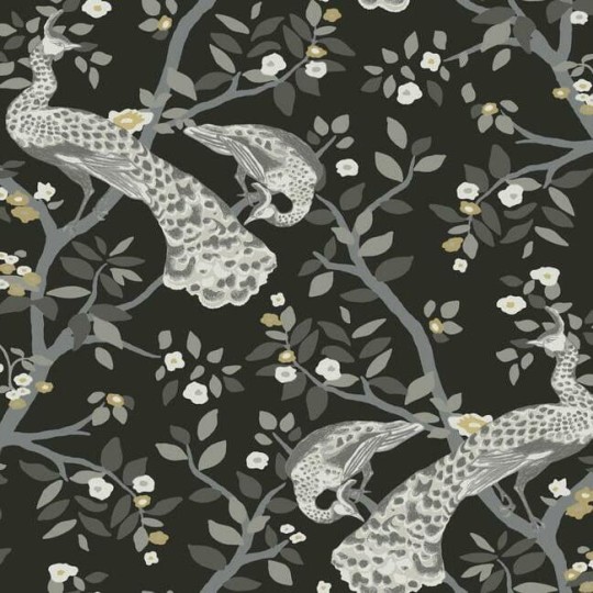 York BW3802 Black and White Resource Library Plume Black/Gold - tapeta w pawie