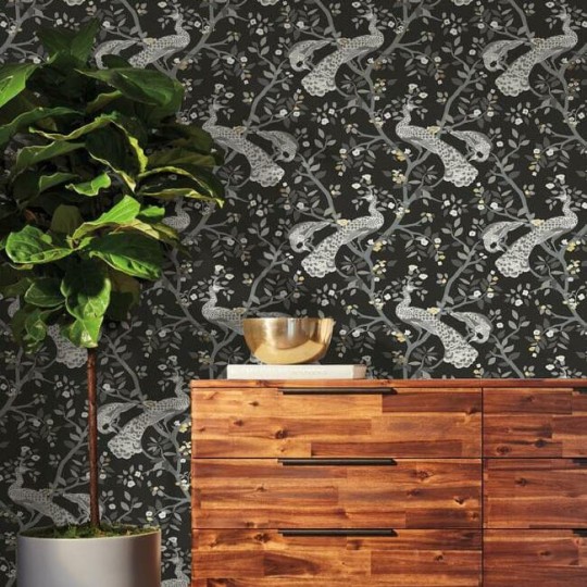 York BW3802 Black and White Resource Library Plume Black/Gold - tapeta w pawie
