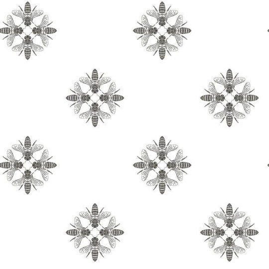 York ON1643 Black and White Resource Library Honey Bee Black/White - tapeta w pszczoły