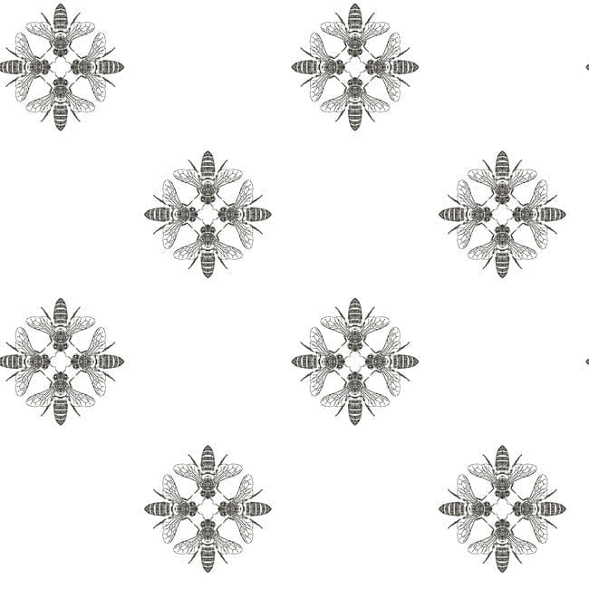 ed5b246f6c7a69294a6845b235f35e49