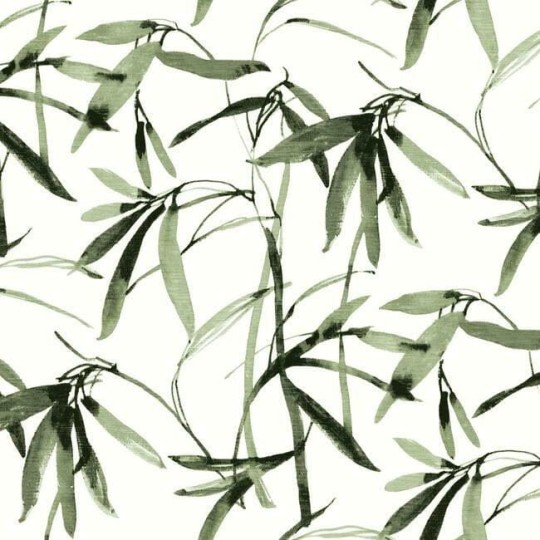 York BW3842 Black and White Resource Library Bamboo Ink Green/Black - tapeta w liście