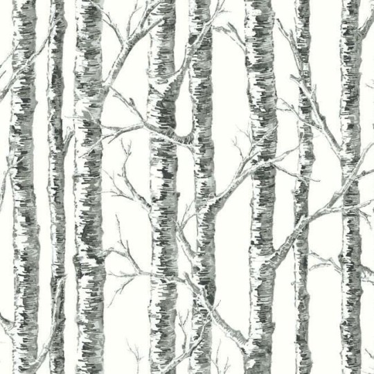 York BW3902 Black and White Resource Library Paper Birch Black/White - tapeta w drzewa