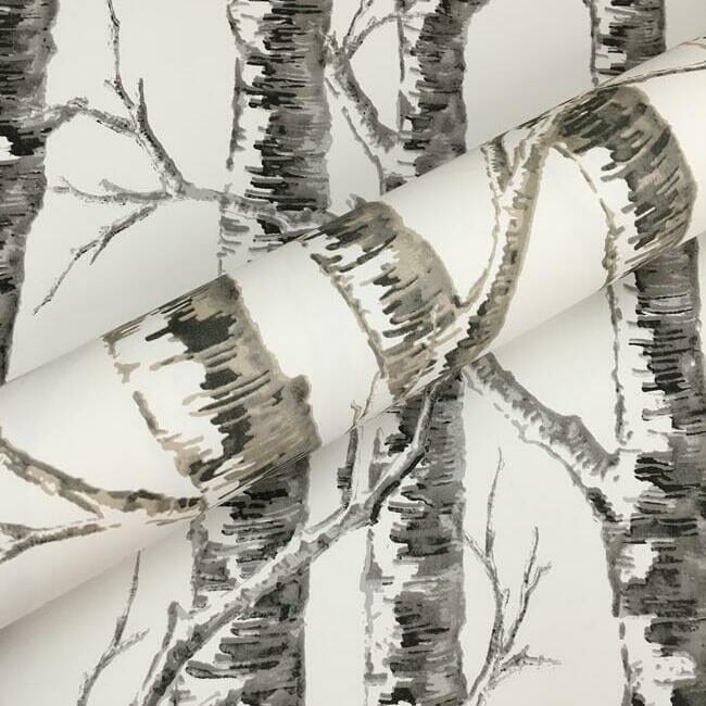 York BW3902 Black and White Resource Library Paper Birch Black/White - tapeta w drzewa