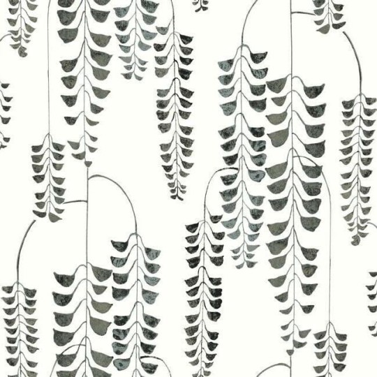 York BW3943 Black and White Resource Library Deco Wisteria Black/Metallic - tapeta w glicynie z metalicznymi akcentami