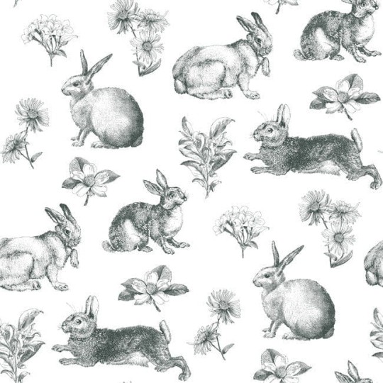 York AT4263 Black and White Resource Library Bunny Toile Black/White - tapeta w zające i rośliny
