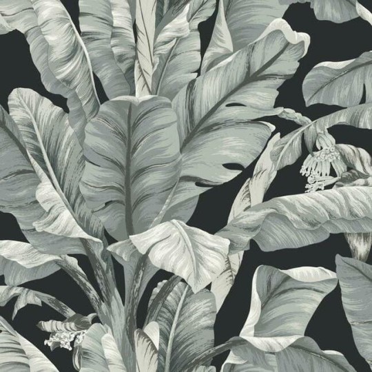 York BW3971 Black and White Resource Library Banana Leaf Black/Neutral - tapeta w liście bananowca
