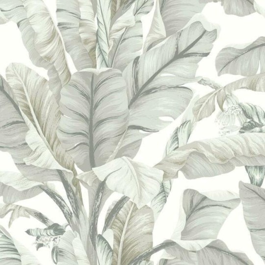 York BW3972 Black and White Resource Library Banana Leaf Light Neutral - tapeta w liście bananowca