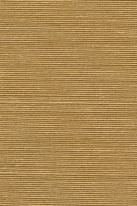 38719cfa32c7c57485705519f2351ffb