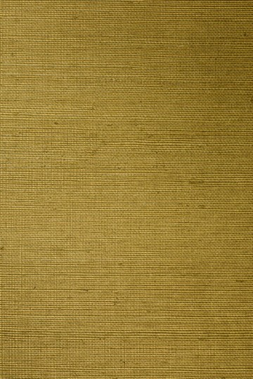 Arte 72745 All Naturals Line Gold Olive - tapeta z sizalu o wzorze delikatnych linii