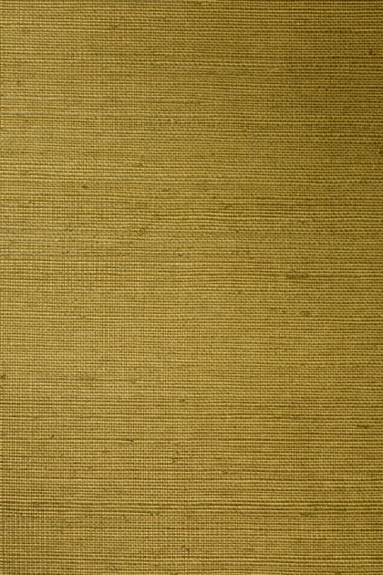 Arte 72745 All Naturals Line Gold Olive - tapeta z sizalu o wzorze delikatnych linii