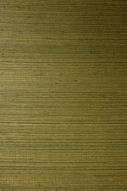 Arte 72750 All Naturals Line Fern - tapeta z sizalu o wzorze delikatnych linii