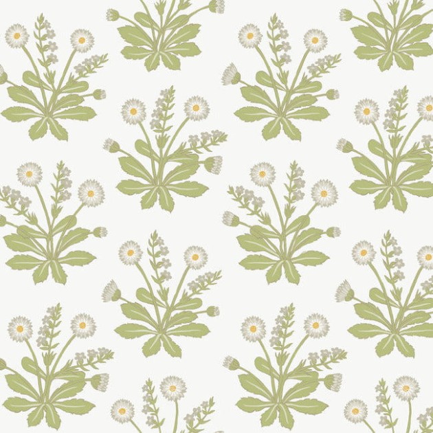 York AC9155 Ronald Redding Arts and Crafts Meadow Flowers White - tapeta w kwiaty