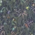 644d90dd0ad333b29ac65b958b11256a