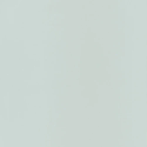 a034cbd5cc1fb8c7ad13571d28b69a23