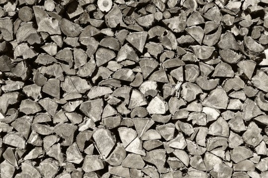 Rebel Walls R13641 Web Selection Woodpile - mural imitujący drewno