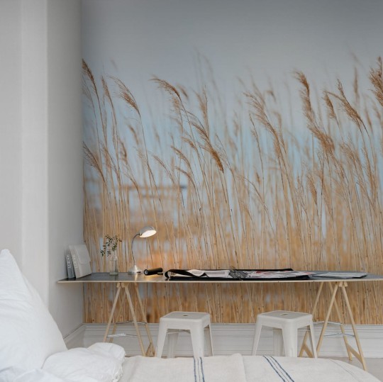 Rebel Walls R13601 Web Selection Swaying Wheat - mural w zboże