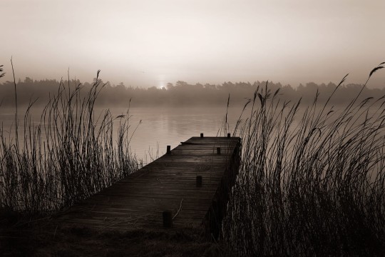 Rebel Walls R13581 Web Selection Misty Lake - mural w krajobraz jeziora