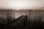 1148e3640ace21c83d68901fadeac831