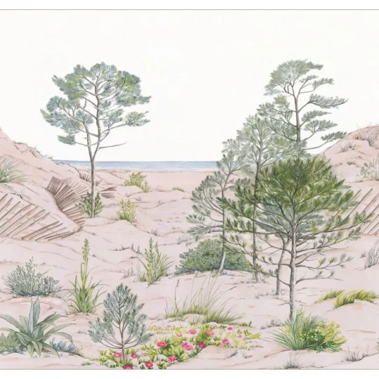 Caselio 106377038 Reliefs Sand Dune Nature M - mural w morski krajobraz