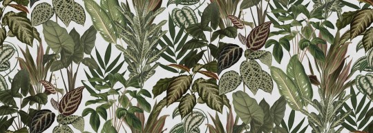 Rebel Walls R19444 Pops Mischievous Jungle White - mural w egzotyczne liście