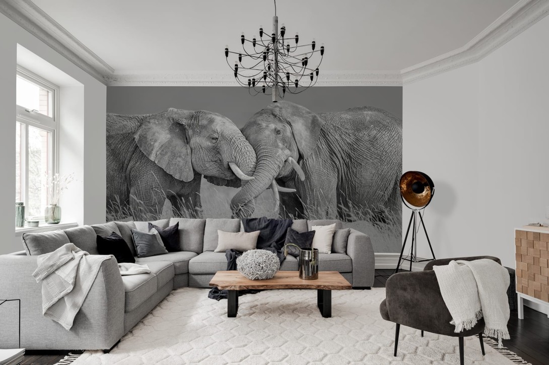 Rebel Walls R19197 Pops Elephant Hug - mural w słonie