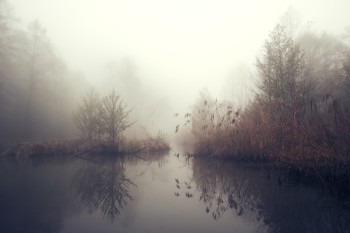 70f611238642322ae87b0a8dcad83b0d