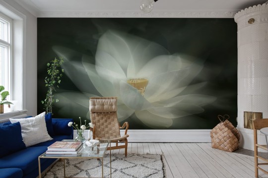 Rebel Walls R19175 Pops White Waterlily - mural w lilię wodną w makro wydaniu