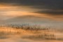 d7182f568b8ea208e4264f756742d011