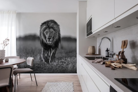 Rebel Walls R19160 Pops Lion King - mural w lwa