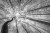 76a273af40bba52b6878d15e0e727dc8