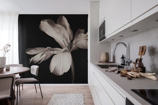 Rebel Walls R19089 Pops Dramatic Flower - mural w kwiaty