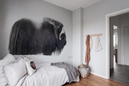 Rebel Walls R19084 Pops Musk Ox - mural w bawoła