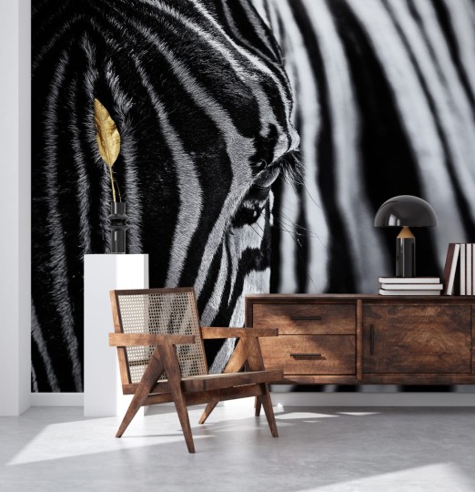 Rebel Walls R19062 Pops Close Up Zebra - mural w zebrę