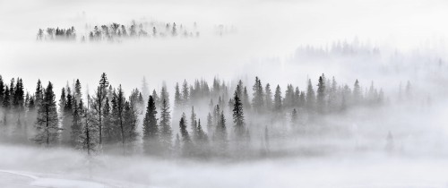 bd7888e63f4c180d94352701b4d35358