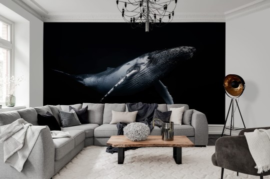 Rebel Walls R19033 Pops Black Whale - mural w wieloryba