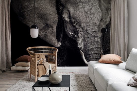 Rebel Walls R19022 Pops Elephant - mural w słonia