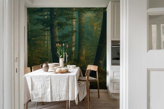 Rebel Walls R19016 Pops Beech Forest - mural w leśny krajobraz