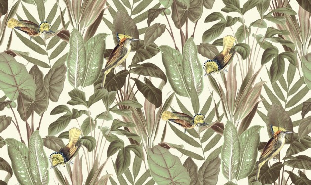 Rebel Walls R18565 Pops Birds of Paradise Bright Dawn - tapeta w liście i ptaki