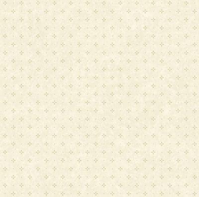 41ac7c99d2edfda3fd17ad54a7908d75