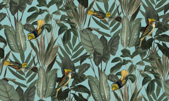 Rebel Walls R18563 Pops Birds of Paradise Lush Green - tapeta w liście i ptaki
