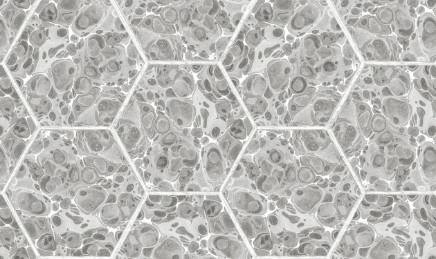 Rebel Walls R18558 Pops Marbled Hexagon Tiles Grey - tapeta imitujące marmurowe płytki