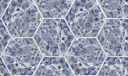 Rebel Walls R18557 Pops Marbled Hexagon Tiles Dark Blue - tapeta imitujące marmurowe płytki