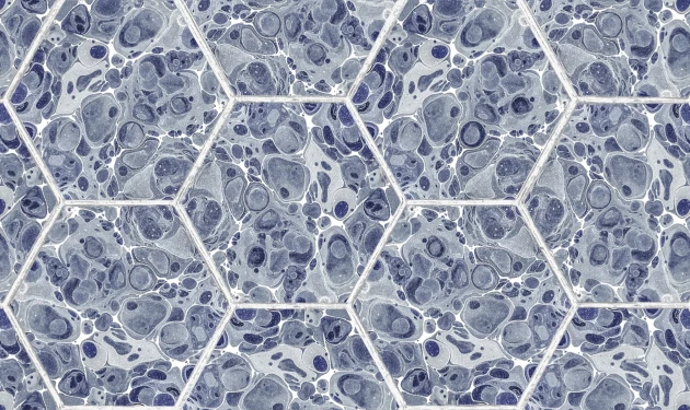 Rebel Walls R18557 Pops Marbled Hexagon Tiles Dark Blue - tapeta imitujące marmurowe płytki