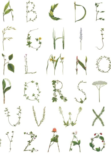 Rebel Walls R18535 Pops Floral Alphabet Mini Swedish - tapeta dla dzieci w roślinny alfabet