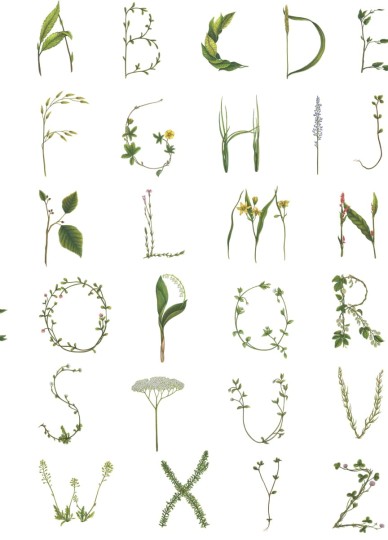 Rebel Walls R18532 Pops Floral Alphabet Mini English - tapeta dla dzieci w roślinny alfabet
