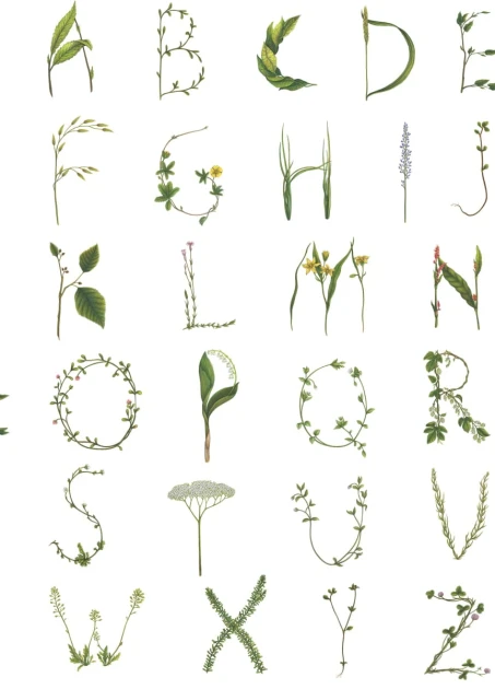 Rebel Walls R18532 Pops Floral Alphabet Mini English - tapeta dla dzieci w roślinny alfabet