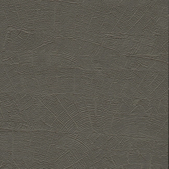 9faf03a389c53419daa09e8ff57e4403